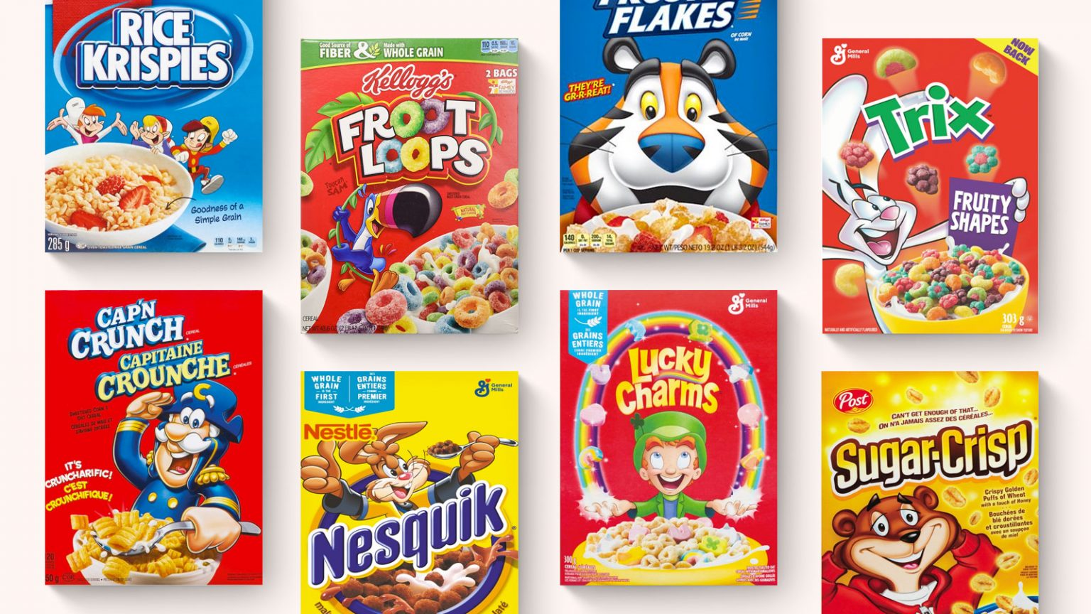 How to choose the right colours for your brand Rock and Bloom