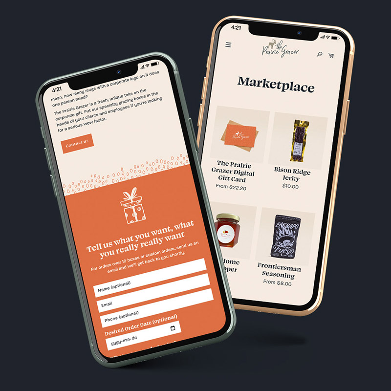 The Prairie Grazer - How we crafted a frictionless and fun user experience  - Rock and Bloom